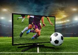 林智胜职业生涯进入新阶段